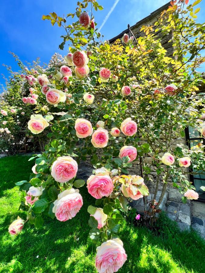 Villa Hautvallon - Peaceful Escape In Provence Gordes Exterior foto